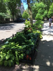 Street Garden in Old Town