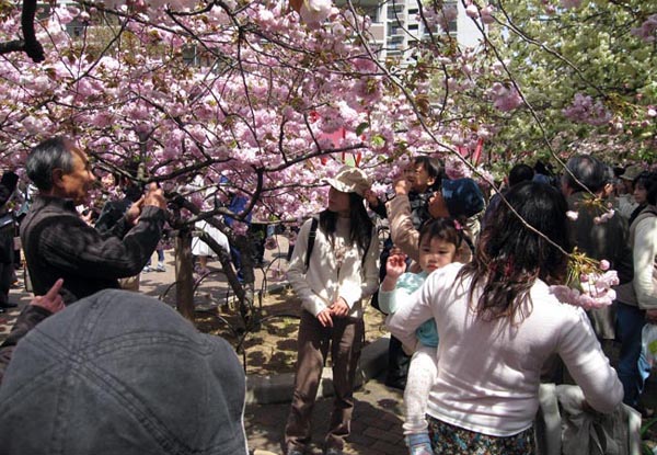 People among the Flowers
