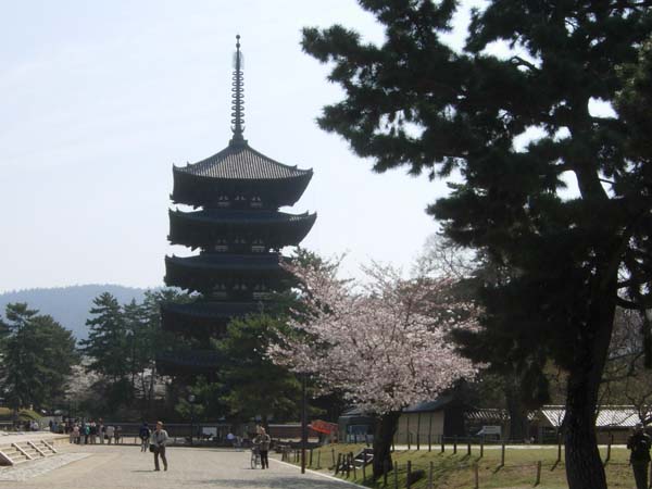 154 5-story pagoda