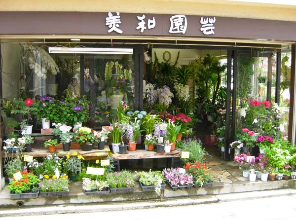 374 Flower-Shop e