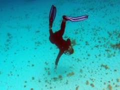 Ari pointing to smooth trunkfish