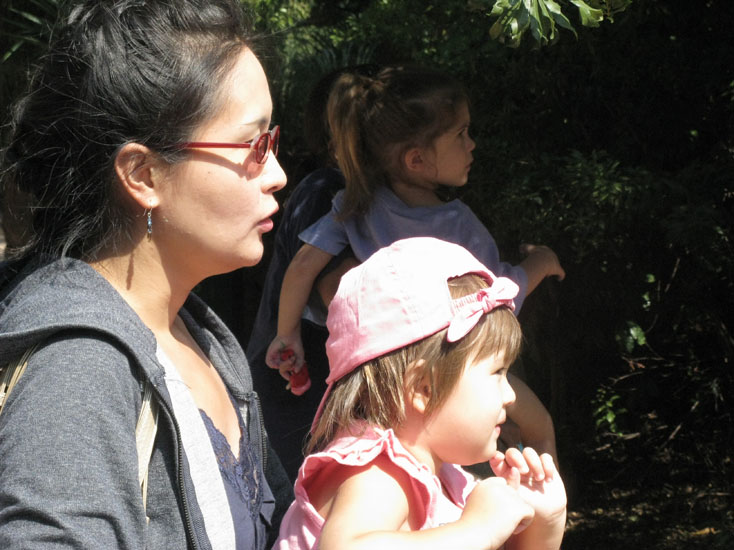 19-04 See the Giraffe?