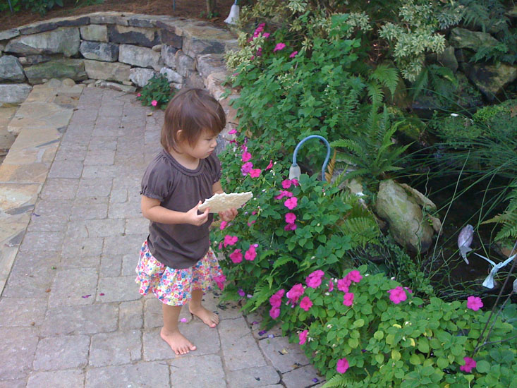 21-06 Feeding the Fish