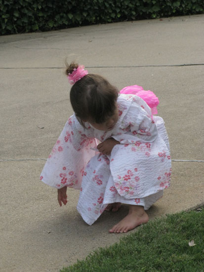 25-03  Do I see a Bug?