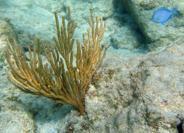 PC090001
