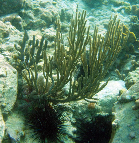 PC090030