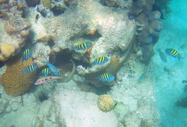 PC120041