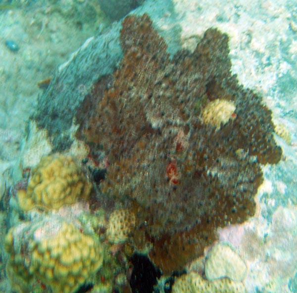 PC140012